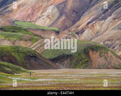 Landmannalaugar Fjallabak Nature Reserve Central Island Stockfoto