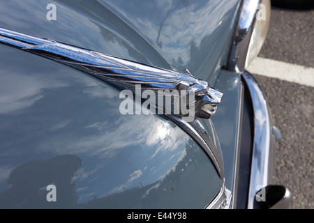 1955-Peugeot 203 Stockfoto