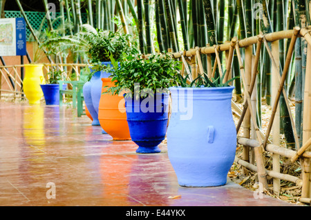 Les Jardins Majorelle von Yves Saint Laurent, Marrakesch, Marokko Stockfoto