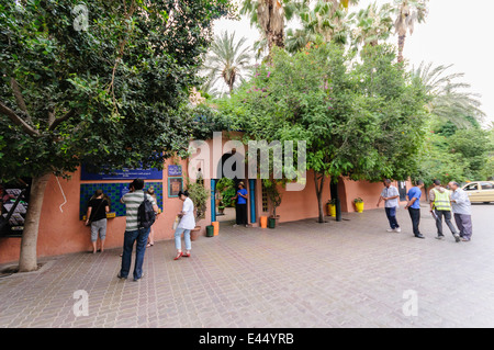 Die beliebte Besucherattraktion, Les Jardins Majorelle, Marrakech, Marokko, die viele Arten von Kakteen enthalten. Stockfoto