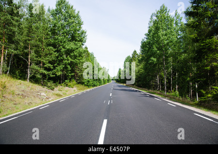 Geradeaus in den Wald mit neuen Asphalt und neue weiße Linien Stockfoto