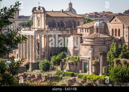 Tempel des Antoninus und Faustina, Forum Romanum, Rom, Latium, Italien Stockfoto