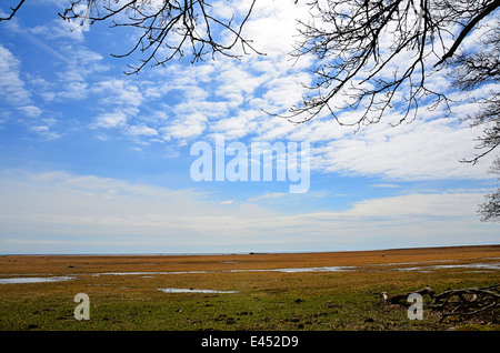 Herrliche Aussicht in Öland, Schweden Stockfoto