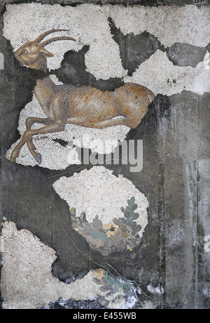 Großer Palast Mosaik-Museum. 4.-6. Jahrhunderte. Detail eines Mosaiks Darstellung einer Gazelle, Kampf. Istanbul. Turkei. Stockfoto