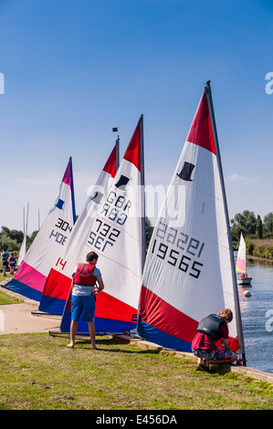 Topper Jollen am Beccles Amateur Segelclub am Fluss Waveney Beccles, Suffolk, England, Großbritannien, UK Stockfoto