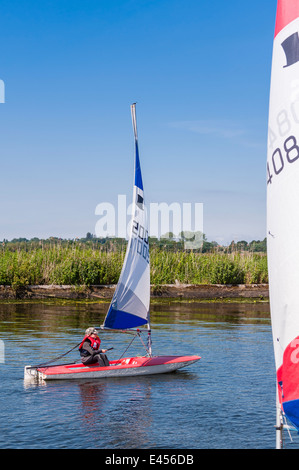 Junge Segeln eine Topper Jolle bei Beccles Amateur Segelclub am Fluss Waveney Beccles, Suffolk, England, Großbritannien, UK Stockfoto