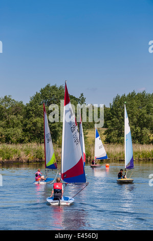 Topper Jollen am Beccles Amateur Segelclub am Fluss Waveney Beccles, Suffolk, England, Großbritannien, UK Stockfoto