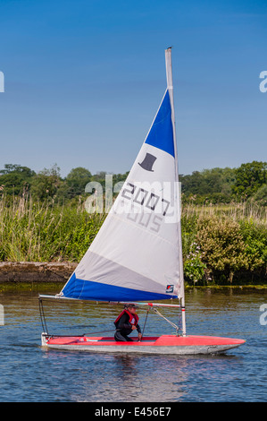 Junge Segeln eine Topper Jolle bei Beccles Amateur Segelclub am Fluss Waveney Beccles, Suffolk, England, Großbritannien, UK Stockfoto