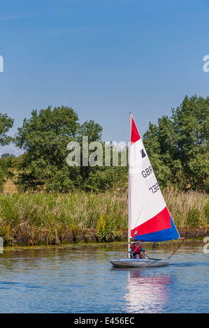 Junge Segeln eine Topper Jolle bei Beccles Amateur Segelclub am Fluss Waveney Beccles, Suffolk, England, Großbritannien, UK Stockfoto