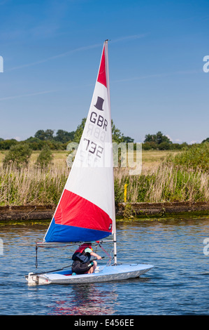 Junge Segeln eine Topper Jolle bei Beccles Amateur Segelclub am Fluss Waveney Beccles, Suffolk, England, Großbritannien, UK Stockfoto