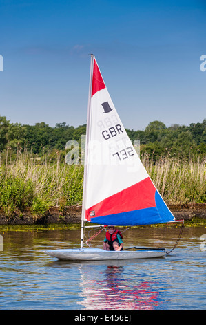 Junge Segeln eine Topper Jolle bei Beccles Amateur Segelclub am Fluss Waveney Beccles, Suffolk, England, Großbritannien, UK Stockfoto