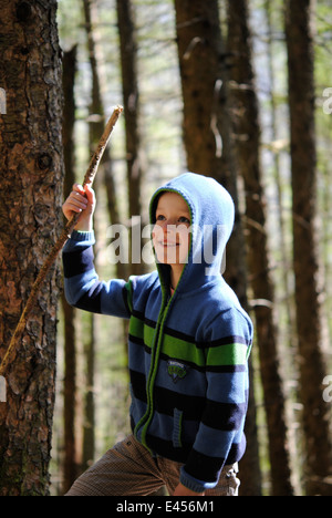 Wald-Wunder Stockfoto