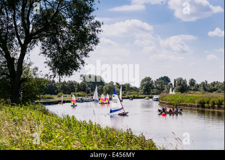 Segeln Jollen Beccles Amateur Segelclub am Fluss Waveney bei Beccles, Suffolk, England, Großbritannien, Uk Stockfoto