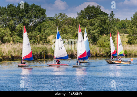 Topper Jollen am Beccles Amateur Segelclub am Fluss Waveney Beccles, Suffolk, England, Großbritannien, UK Stockfoto