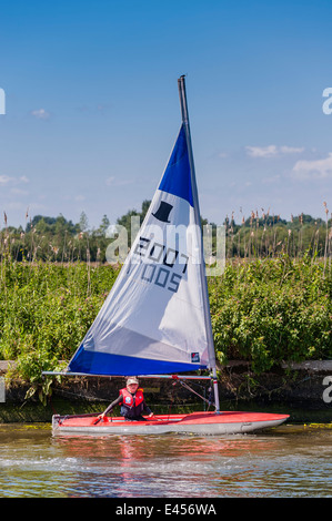 Junge Segeln eine Topper Jolle bei Beccles Amateur Segelclub am Fluss Waveney Beccles, Suffolk, England, Großbritannien, UK Stockfoto