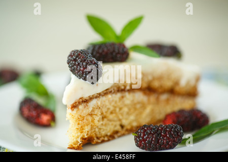 Kuchen mit Mulberry auf einem weißen Teller Stockfoto