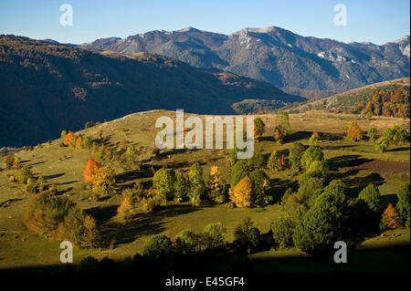 Komarnica Canyon Landschaft, Durmitor NP, Montenegro, Oktober 2008 Stockfoto