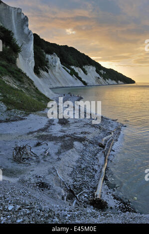 Blick vom Erdrutsch im Store Taler in Richtung Jydeleje Fald und Slotsgavlene bei Sonnenuntergang, Møns Klint, Møns, Dänemark, Juli 2009 Stockfoto