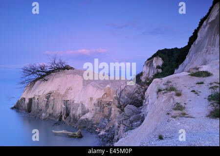 Erdrutsch im Store Taler, Møns Klint, Møn, Dänemark, Juli 2009 Stockfoto