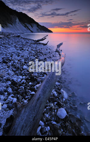 Treibholz am Strand in der Nähe von Erdrutsch bei Sonnenuntergang, Store-Taler, Møns Klint, Møn, Dänemark, Juli 2009 WWE Buch Stockfoto