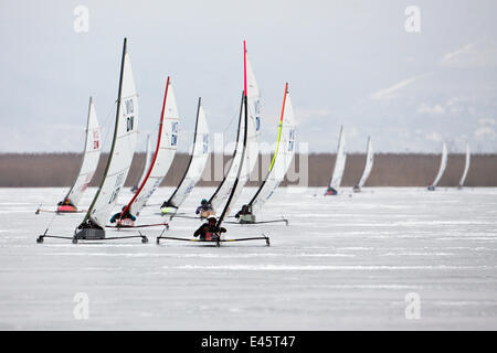 Fleetracing-DN (Detroit News) Eis Sailing World Championship. Neusiedlersee, Österreich, 2010. Stockfoto