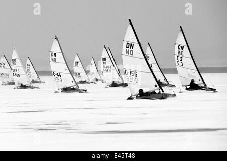 Fleetracing-DN (Detroit News) Eis Sailing World Championship. Neusiedlersee, Österreich, 2010. Stockfoto