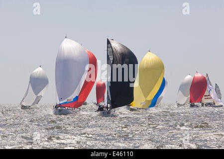 Fleetracing unter SPI an der Rennwoche von Charleston, South Carolina, USA, April 2011. Stockfoto