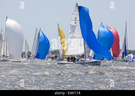 J80 Fleetracing unter SPI an der Rennwoche von Charleston, South Carolina, USA, April 2011. Stockfoto