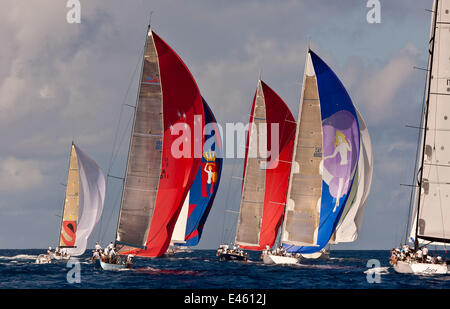 Fleetracing unter bunten Spinnaker während der Heineken Regatta, St. Martin, Karibik, März 2011. Stockfoto