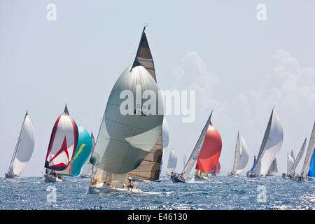 "Wild at Heart" führt unter Spinnaker während der Heineken Regatta, St. Martin, Karibik, März 2011. Stockfoto