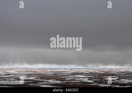 Gewitterwolken über teilweise gefrorenen Tundra Taimyr Halbinsel, Sibirien, Russland, Juni 2010 Stockfoto