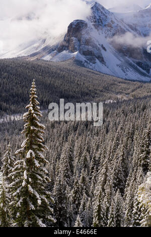 Wenkchemna Spitzen oder Ten Peaks Aufgang über Moraine Lake im Schnee, in der Nähe von Lake Louise, Banff Nationalpark, Alberta, Kanada, 2007 Stockfoto