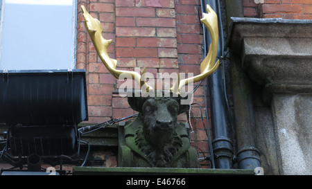 Eine Büste eines Hirsches. Bild von der Vorproduktion von einem auf der Straße für viktorianische Horror tv-Serie "Penny Dreadful" gesetzt. Stockfoto