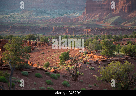 Torrey, Utah - Capitol Reef Nationalpark. Stockfoto