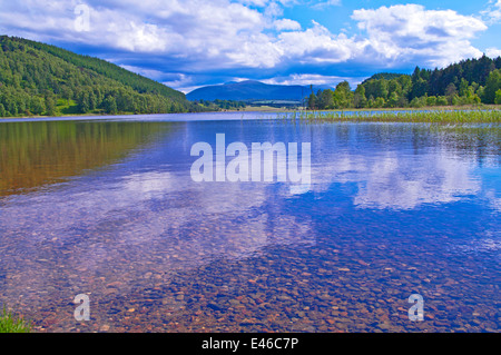 Reflexionen über Loch Pityoulish, ruhiger Sommertag in der Nähe von Aviemore, Cairngorms National Park, Schottisches Hochland, Schottland, Vereinigtes Königreich Stockfoto