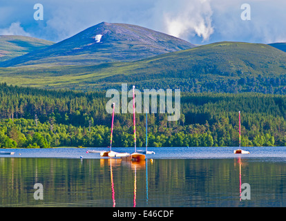 Kleine Boote vor Anker auf und spiegelt sich in Loch Morlich, sonnigen Sommerabend in der Nähe von Aviemore, Cairngorms National Park, Schottland, Vereinigtes Königreich Stockfoto