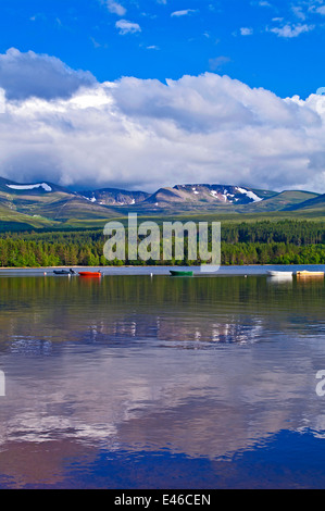 Den nördlichen Hochgebirgsflora und Glenmore Forest gesehen über Loch Morlich, Boote vertäut, beruhigen Sommerabend in der Nähe von Aviemore, Schottland, Vereinigtes Königreich Stockfoto