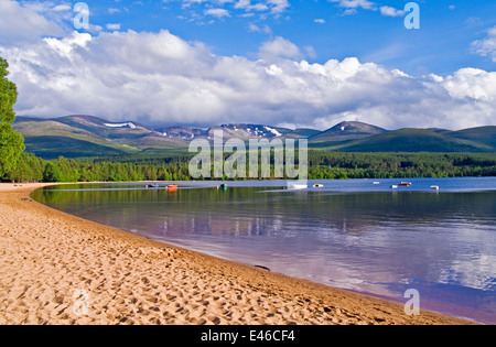 Blick vom Sandstrand auf Loch Morlich Glenmore Forest und das Cairngorm-Plateau Sommerabend von Aviemore, Scotland UK Stockfoto