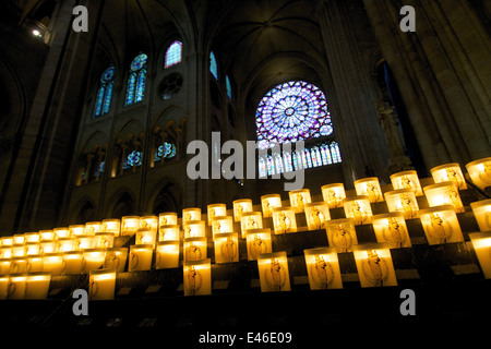 Reihen von brennenden Kerzen unterhalb der Rosette in der Kathedrale Notre Dame, Paris, Frankreich Stockfoto