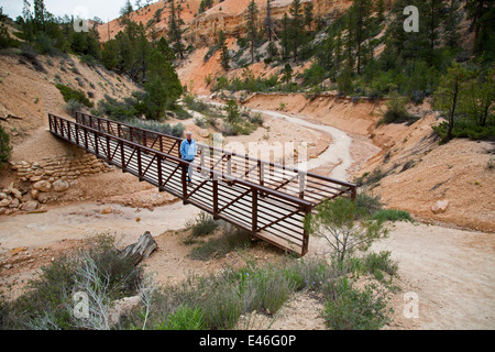 Moosige Höhle Trail in Bryce-Canyon-Nationalpark Stockfoto