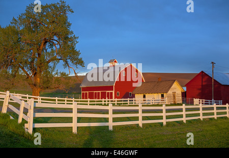 Palouse, Whitman County, WA: Rote Scheune und Hof-Szene im Abendlicht mit clearing Gewitterwolken Stockfoto