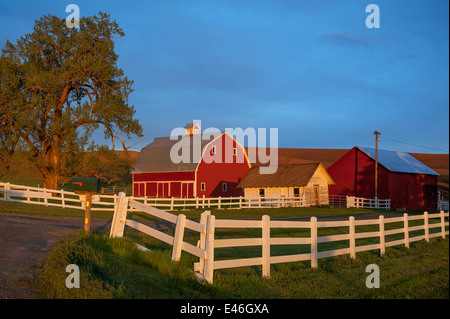 Palouse, Whitman County, WA: Rote Scheune und Hof-Szene im Abendlicht mit clearing Gewitterwolken Stockfoto