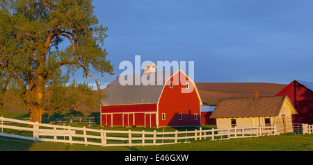 Palouse, Whitman County, WA: Rote Scheune und Hof-Szene im Abendlicht mit clearing Gewitterwolken Stockfoto