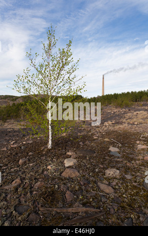 Luftverschmutzung hat exponierten Felsen in Sudbury in der Nähe der Vale Mining Operations geschwärzt. Die Superstack kann im Hintergrund zu sehen. Stockfoto