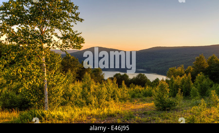 Eine Birke, beleuchtet durch goldene Sonne über dem Pepaction Reservoir von einem Aussichtspunkt auf dem neuen Shaverton Trail in Anden, NY Stockfoto