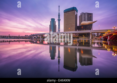 Skyline von Tokyo, Japan auf dem Sumida-Fluss. Stockfoto