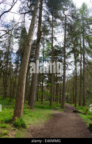 Hardcastle Klippen Naturpark, Hebden Bridge, Stockfoto