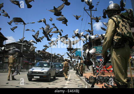 Srinagar, Kaschmir. 4. Juli 2014. fliegende Tauben in der Nähe von indischen paramilitärische Soldaten während Beschränkungen in Srinagar, Indien Kaschmir 4. Juli 2014. separatistische Gruppen gegen indischen Herrschaft kündigte einen Streik um einen Besuch des Landes Premierminister Narendra Modi zu protestieren. Modi ist auf seinem ersten offiziellen Besuch in der umstrittenen Himalaya Region ...er zu eröffnen, eine Eisenbahnlinie und ein Kraftwerk und auch Kredit-Überprüfung Sicherheit und Entwicklung: Shafat/Pacific Press/Alamy Live News Stockfoto