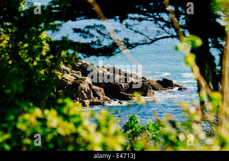 Der Blick von der South West Coast Path an der Südküste von Cornwall in der Nähe von mousehole, in Richtung der Eidechse suchen. Blue Seas und saftigen grünen Gras Stockfoto