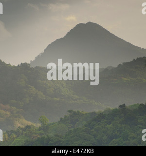 Am frühen Morgen Szene kurz nach Sonnenaufgang in das Naturschutzgebiet in der Nähe von Jalousie, St lucia Stockfoto